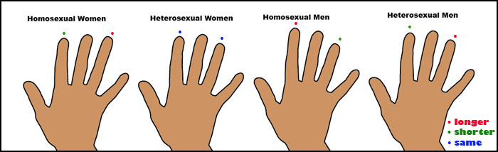 What Your Finger Length Tells About You